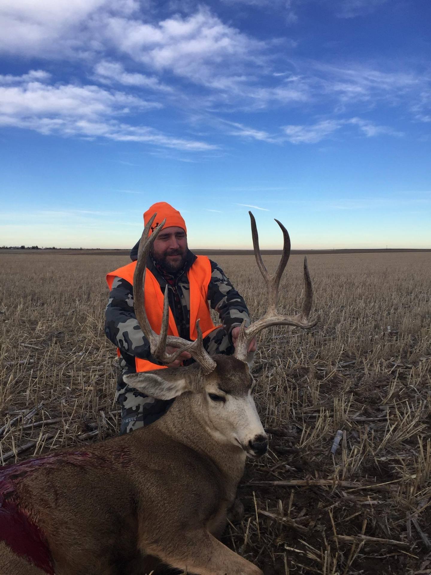 Eastern Colorado Mule Deer Hunts